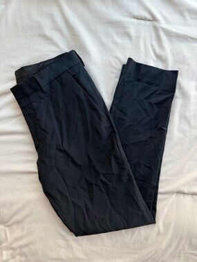 Express Dress Pants